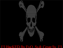 Tablet Screenshot of alepuniv.com